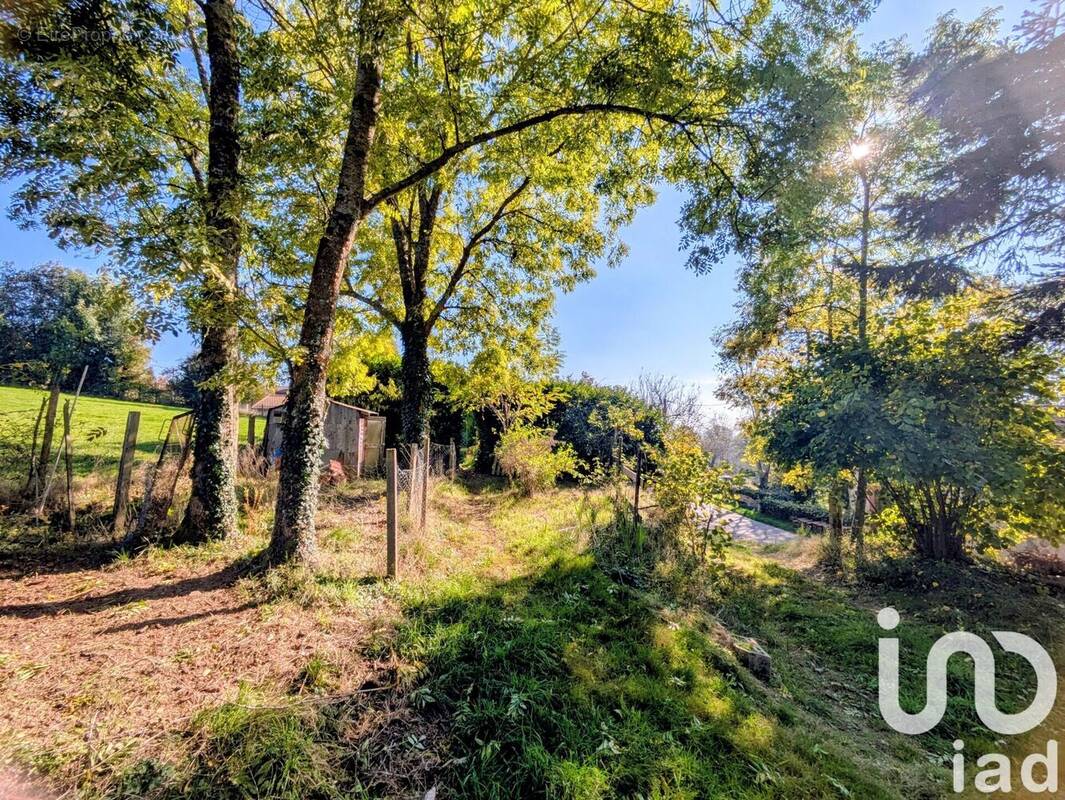 Photo 1 - Terrain à MONTCHAL