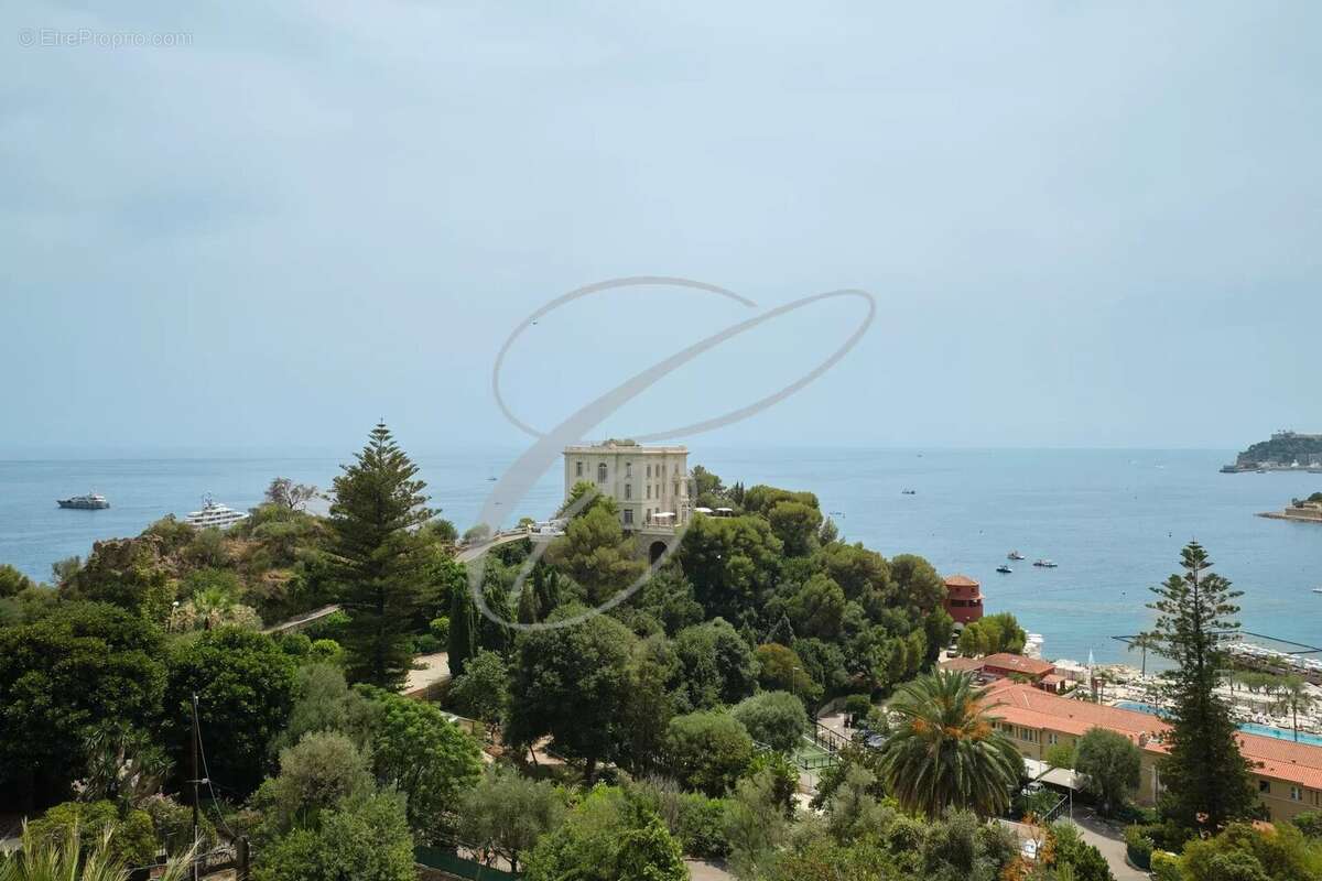 Roquebrune cap martin - villa domaine prive - photo 5