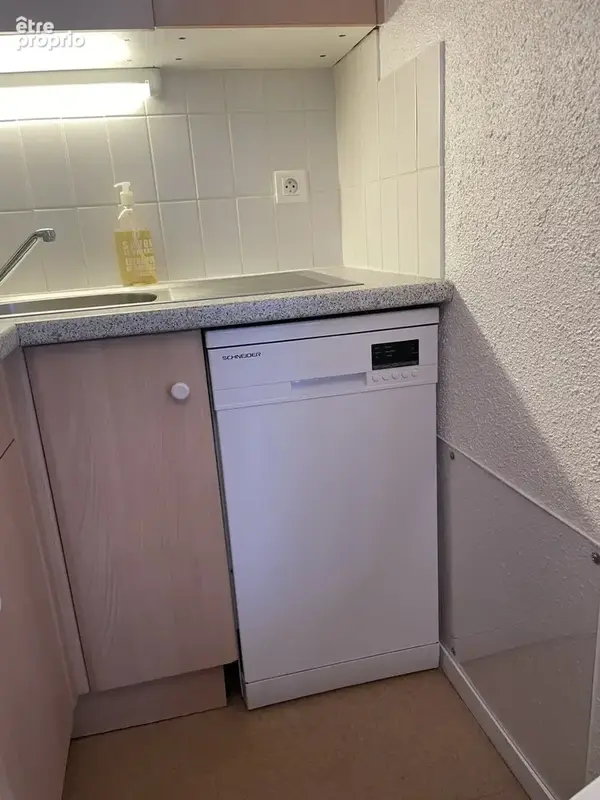 Appartement à vendre 2 pièces LA MONGIE (65) avec balcon, cellier, casier à ski et parking intérieur - photo 15