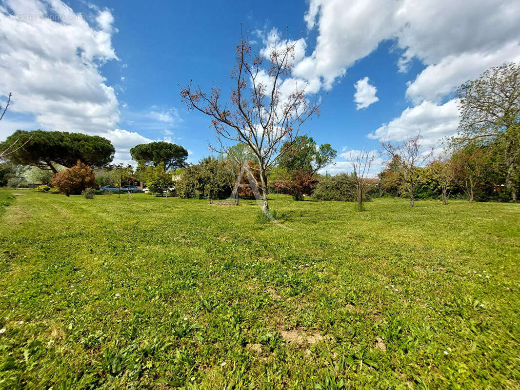 Terrain constructible, viabilisé et arboré de 978 m² - photo 4