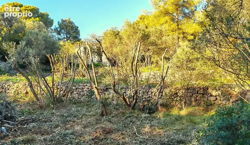 Terrain 442 m² à vendre à Toulon (83200) - photo 4