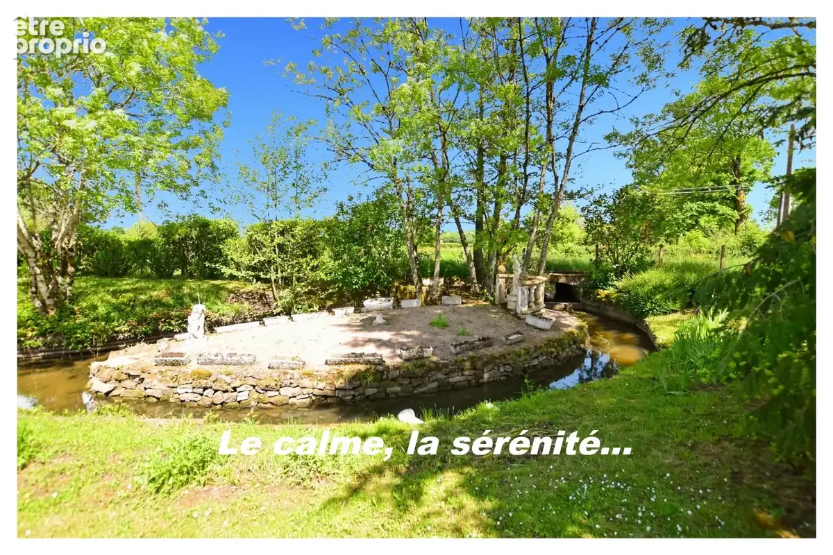 Propriete à vendre à ANTULLY avec terrain de 4577 m2 - photo 8
