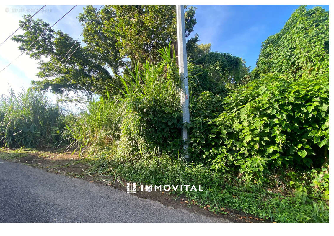 SAINT- CLAUDE - Monteran - Terrain de 300 m2 - photo 4