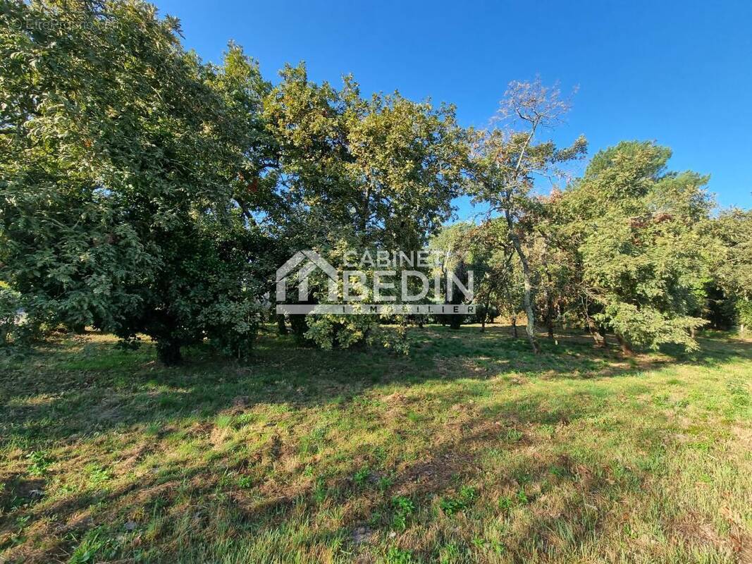 Terrain à ANDERNOS-LES-BAINS