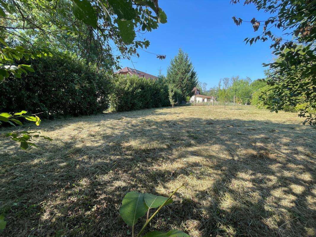 Terrain à vendre alby sur cheran - photo 8