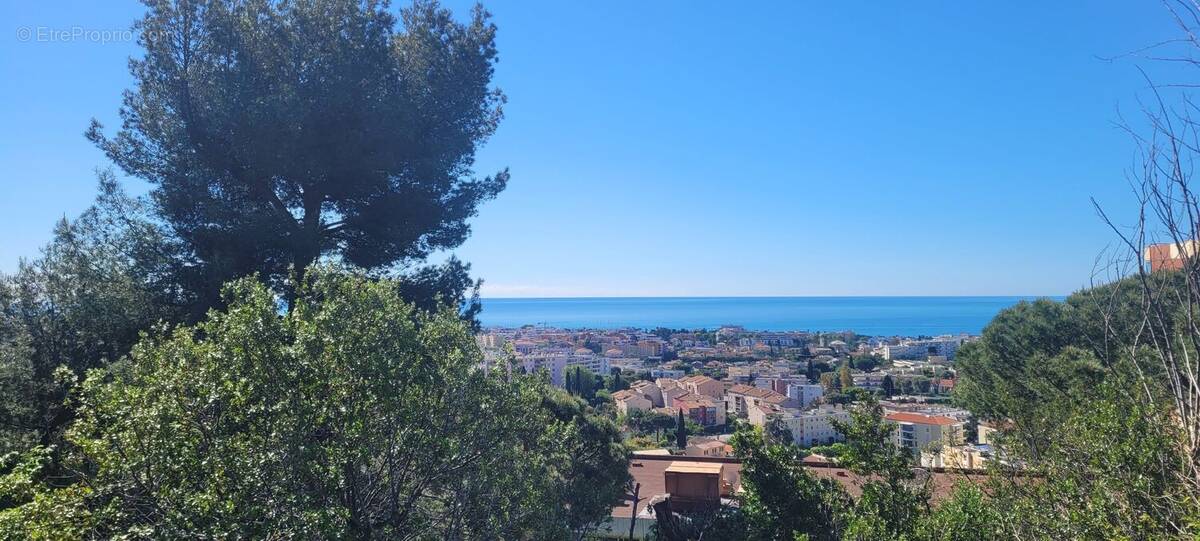 Photo 1 - Terrain à CAGNES-SUR-MER