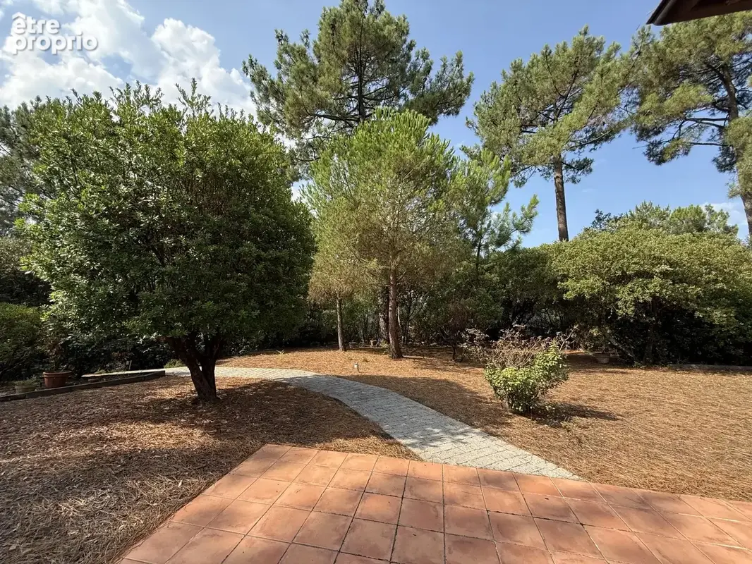 Une propriété d'exception avec un vaste terrain rare de 1700 m²  au Pyla-sur-Mer - photo 12