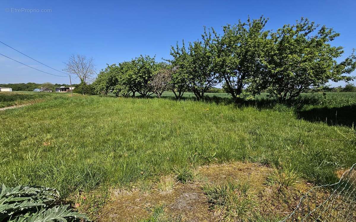 Maison de campagne habitable immédiatement avec ses combles - photo 2