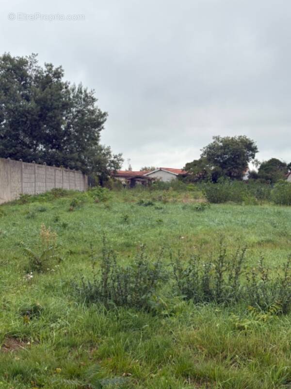 Terrain à VILLEGOUGE