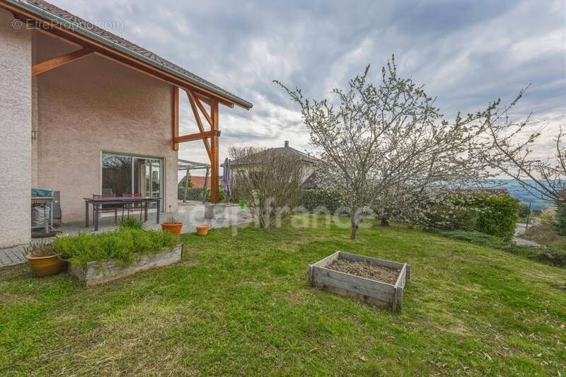 Maison à CHALLEX