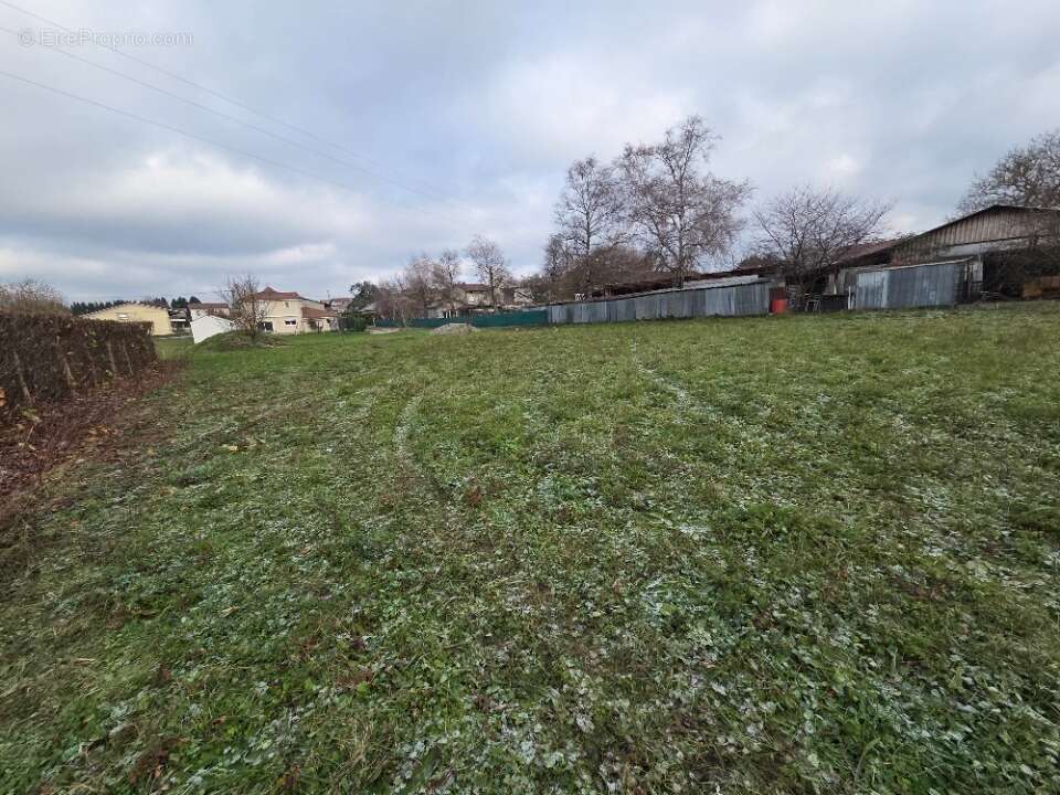 Terrain à CHAZEY-SUR-AIN