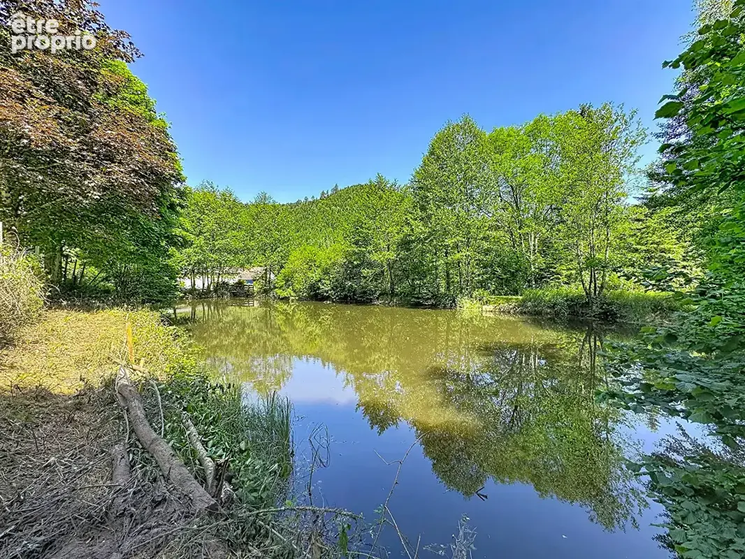 Espace de loisirs à Allarmont - photo 3