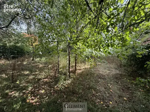Gambsheim terrain - photo 2