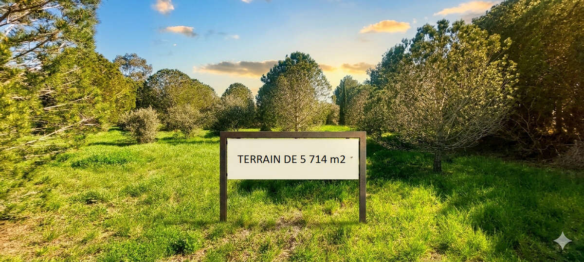 Terrain mas llaro - photo 2