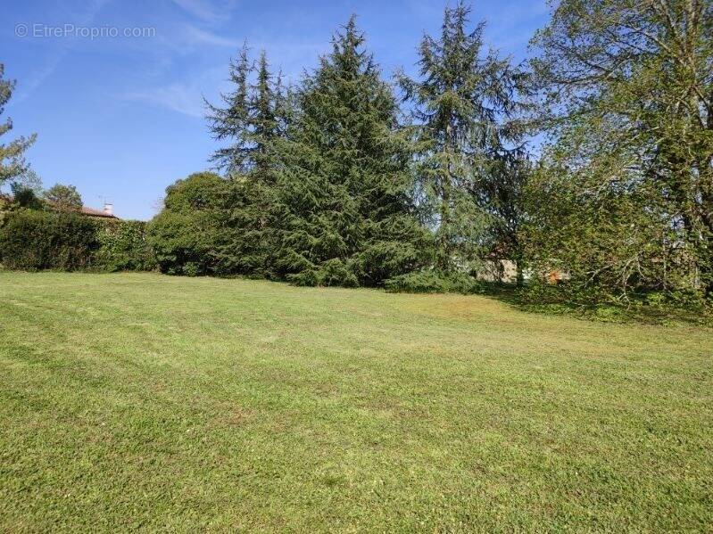 Terrain à CARTELEGUE