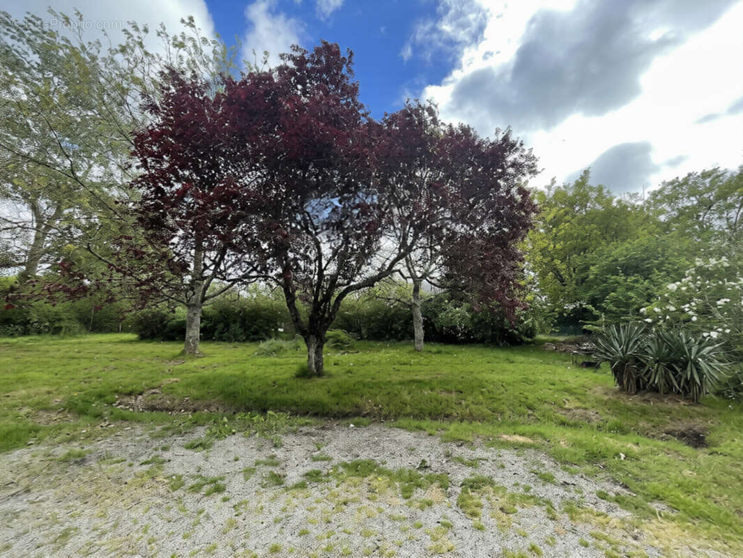 Maison à NORT-SUR-ERDRE