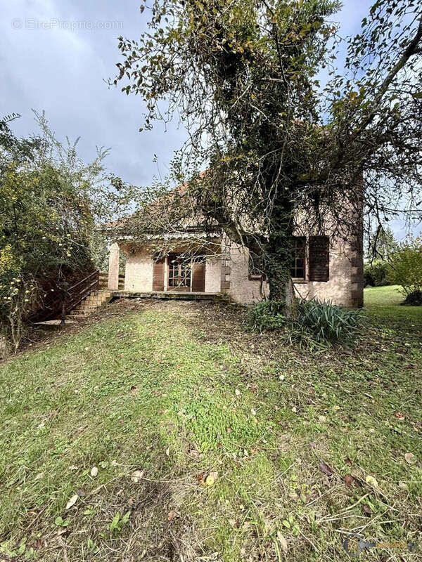 Maison 249 m² à Sarreguemines  - photo 3