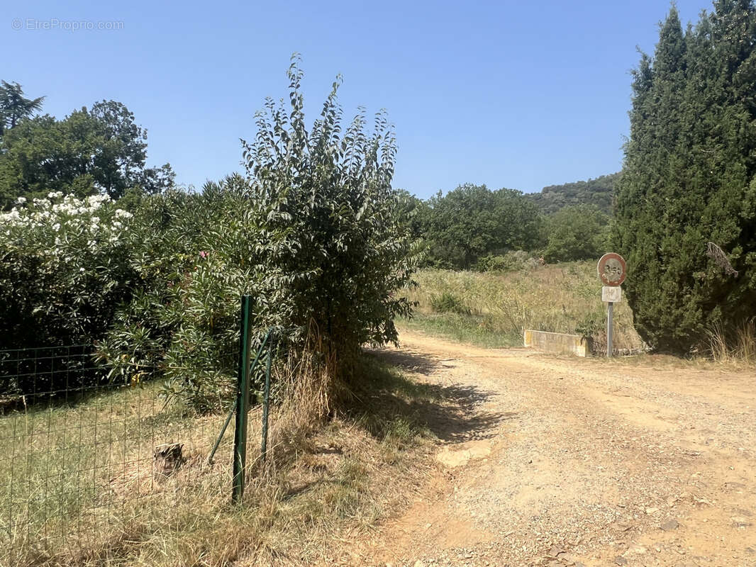 Terrain à REYNES