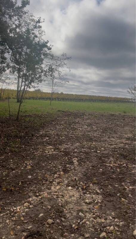 Terrain à LANGOIRAN