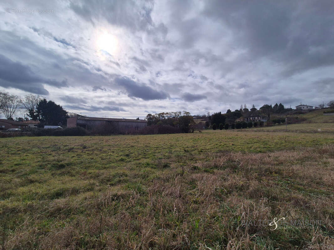 Terrain à RABASTENS