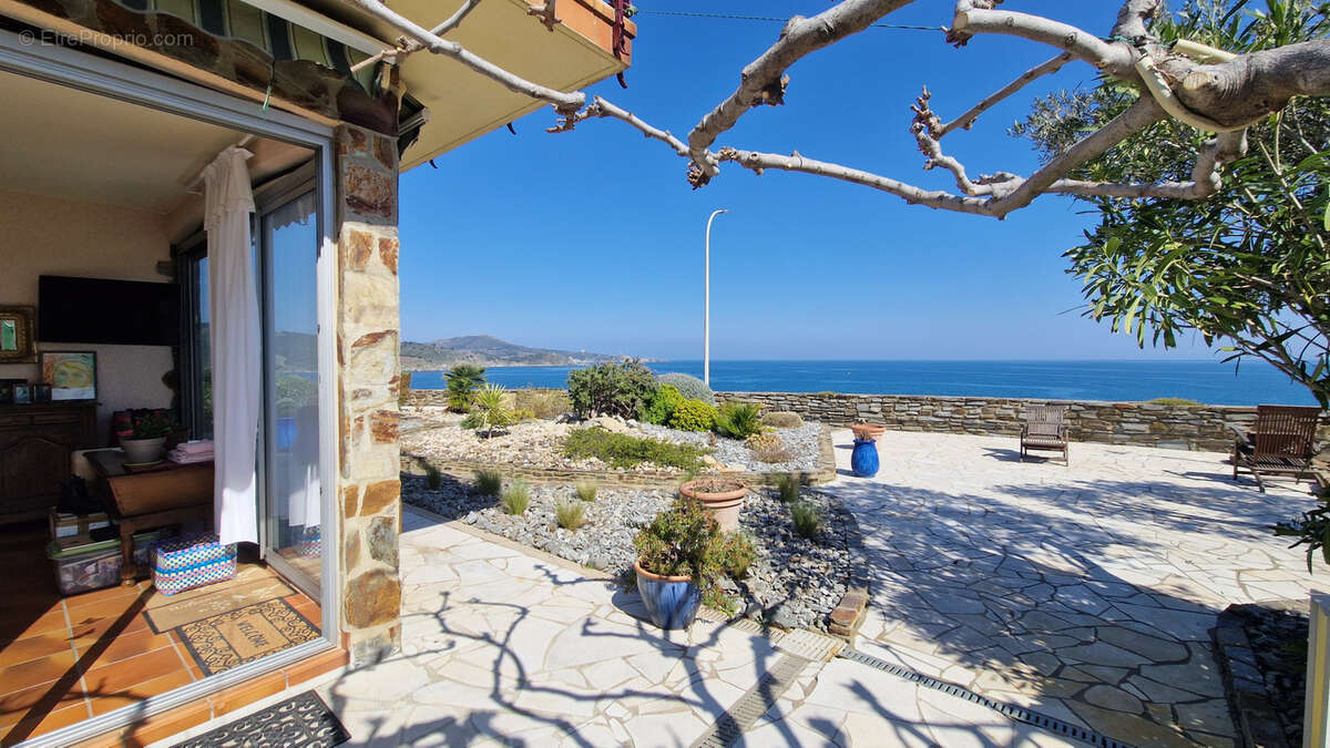 Appartement à BANYULS-SUR-MER
