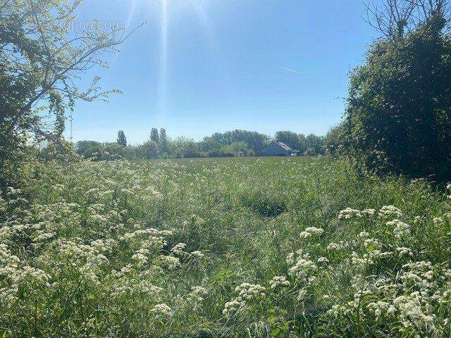 Terrain à MEZIDON-CANON