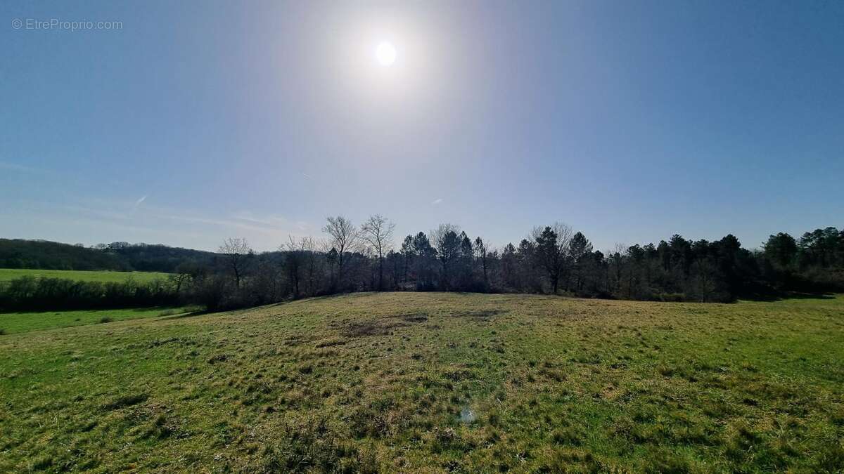 Terrain à DOUVILLE