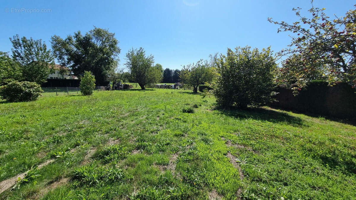 20250918_144903 - Maison à SAINT-SAUD-LACOUSSIERE