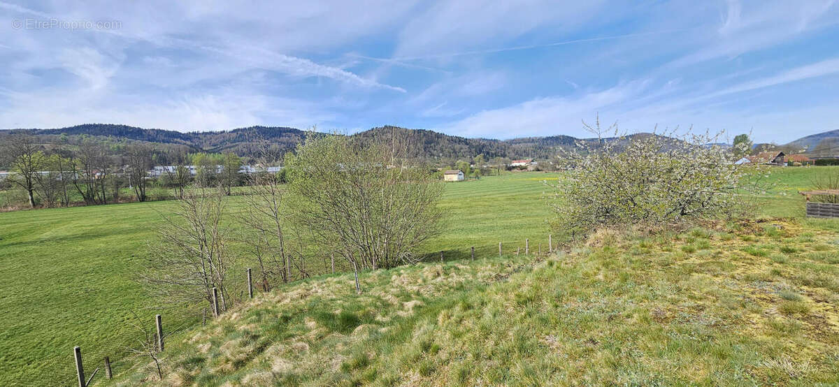 20250419_104911 - Maison à LE THILLOT