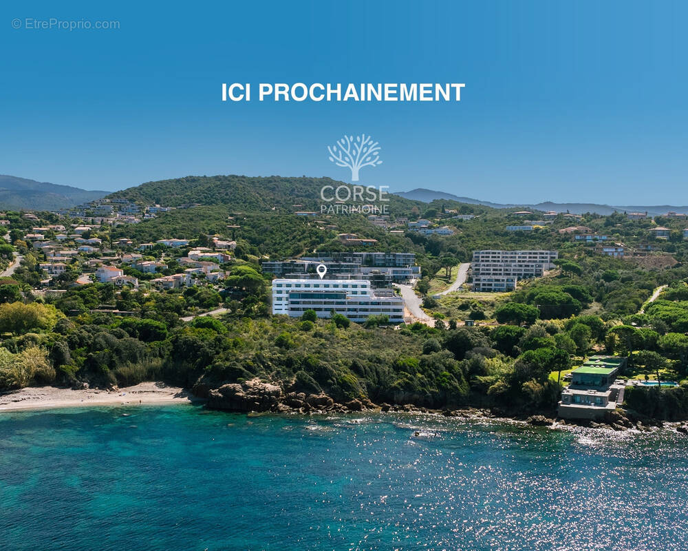 Appartement à PIETROSELLA