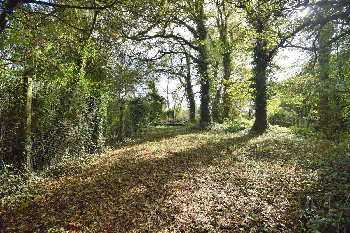 Terrain de loisir - photo 7