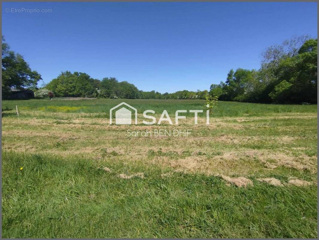 Photo 1 - Terrain à LOUCHATS