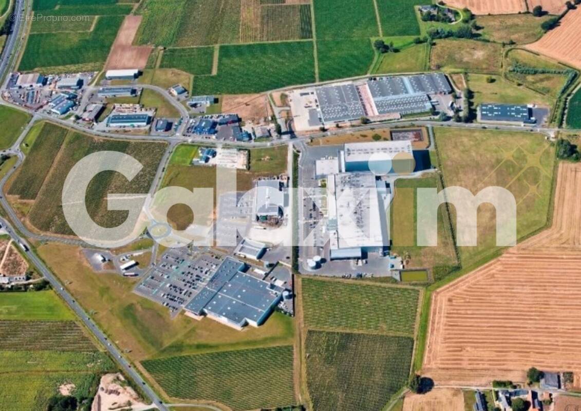 Commerce à BRISSAC-QUINCE