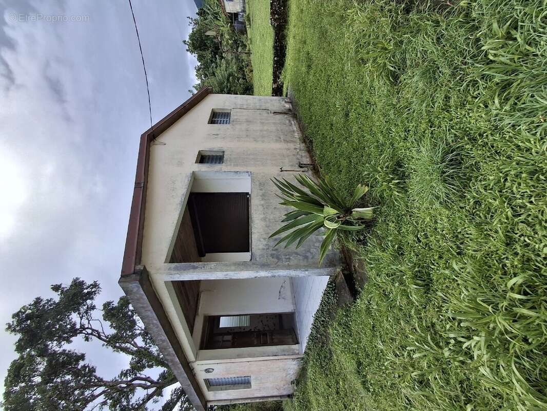 Maison à BASSE-POINTE