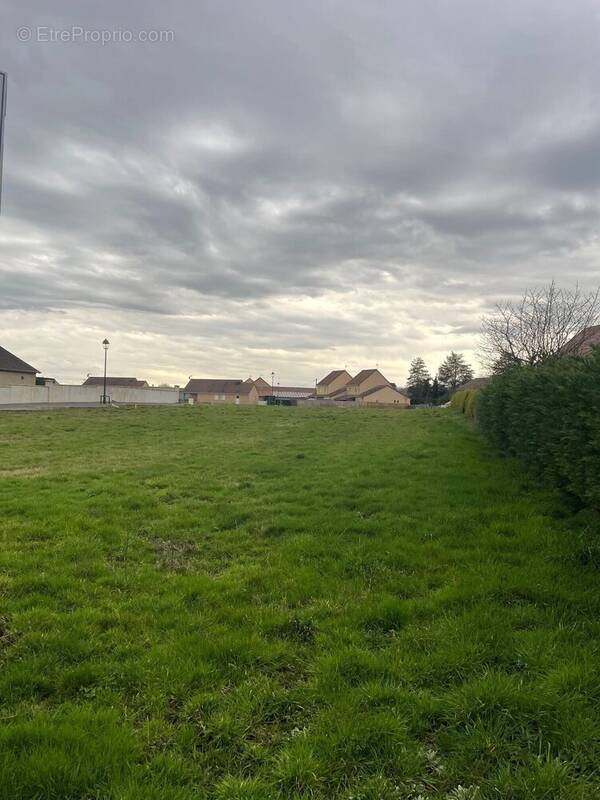 Terrain à RIGNY-SUR-ARROUX