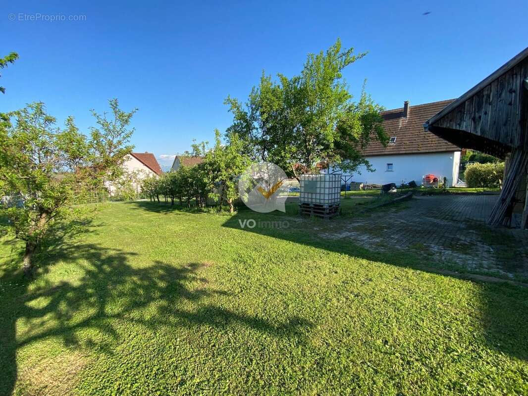 Terrain à ORSCHWIHR