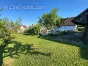 Terrain à ORSCHWIHR