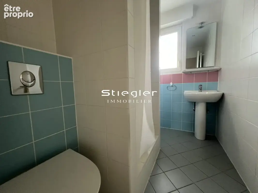 Salle d'eau avec douche, lavabo et WC