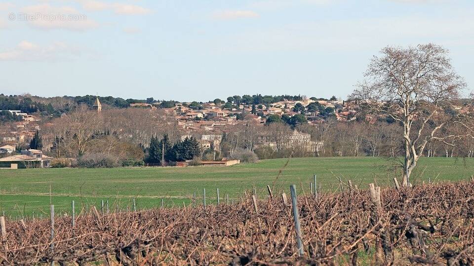 Terrain à PENNAUTIER