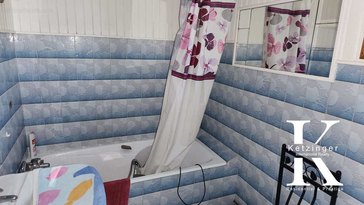 Maison à SAINTE-AGATHE-D'ALIERMONT