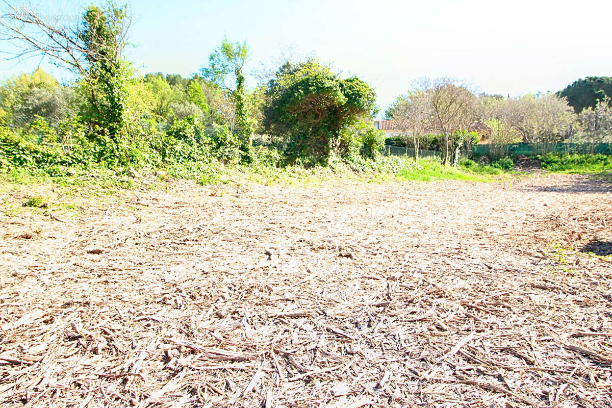 Terrain à VILLECROZE