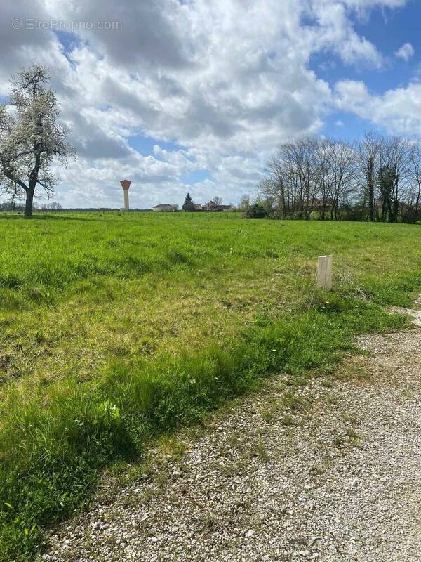 Terrain à MAXILLY-SUR-SAONE