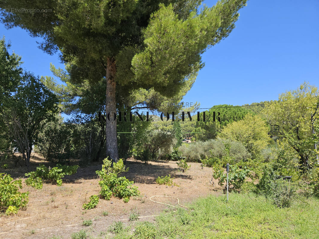 Terrain à ALLAUCH