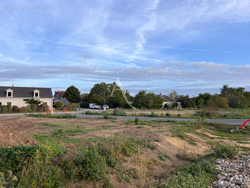 Terrain à LA MENITRE