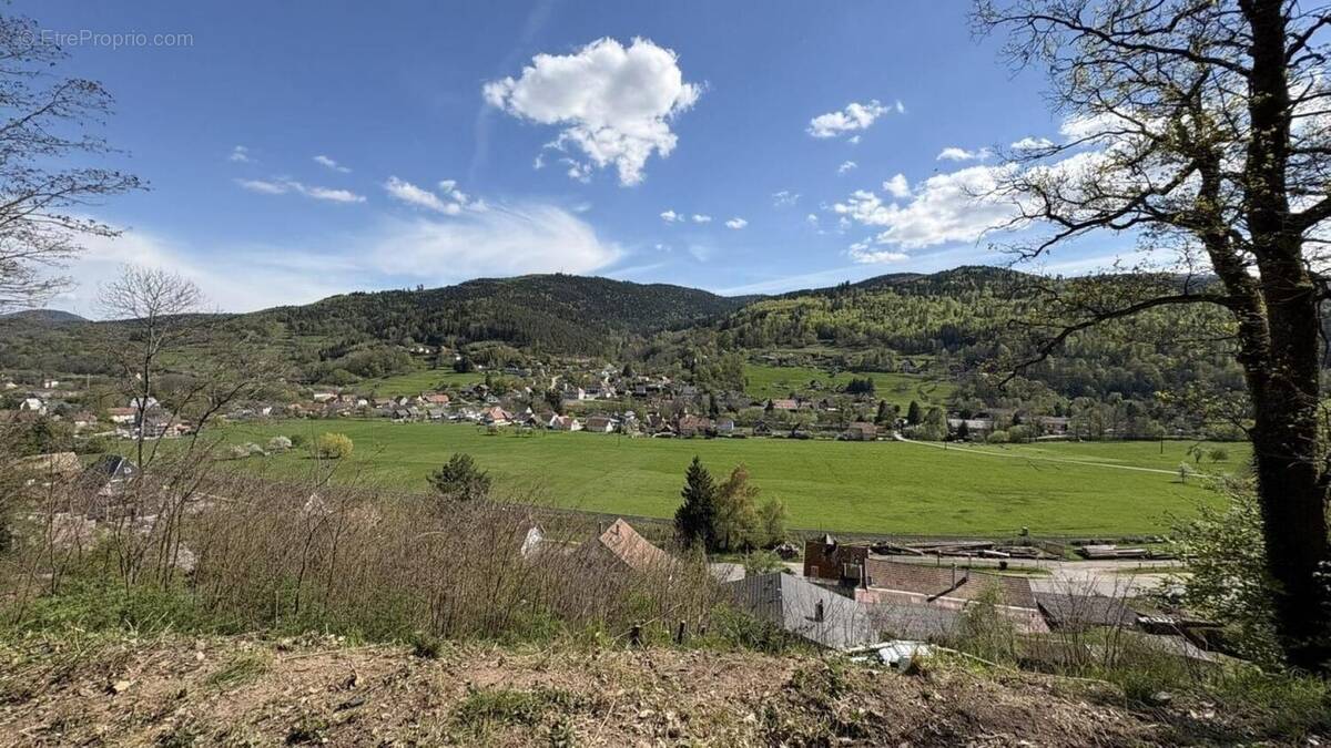 Photo 1 - Terrain à LUTTENBACH-PRES-MUNSTER