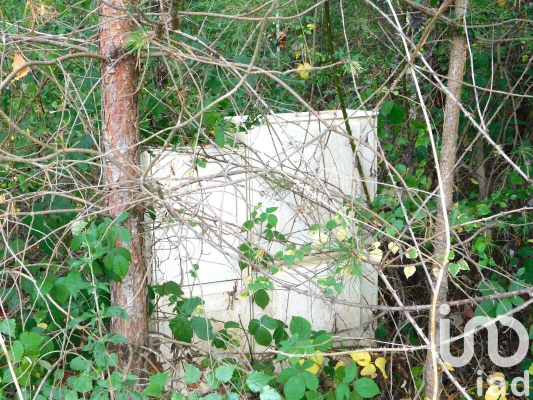 Photo 6 - Terrain à SALBRIS