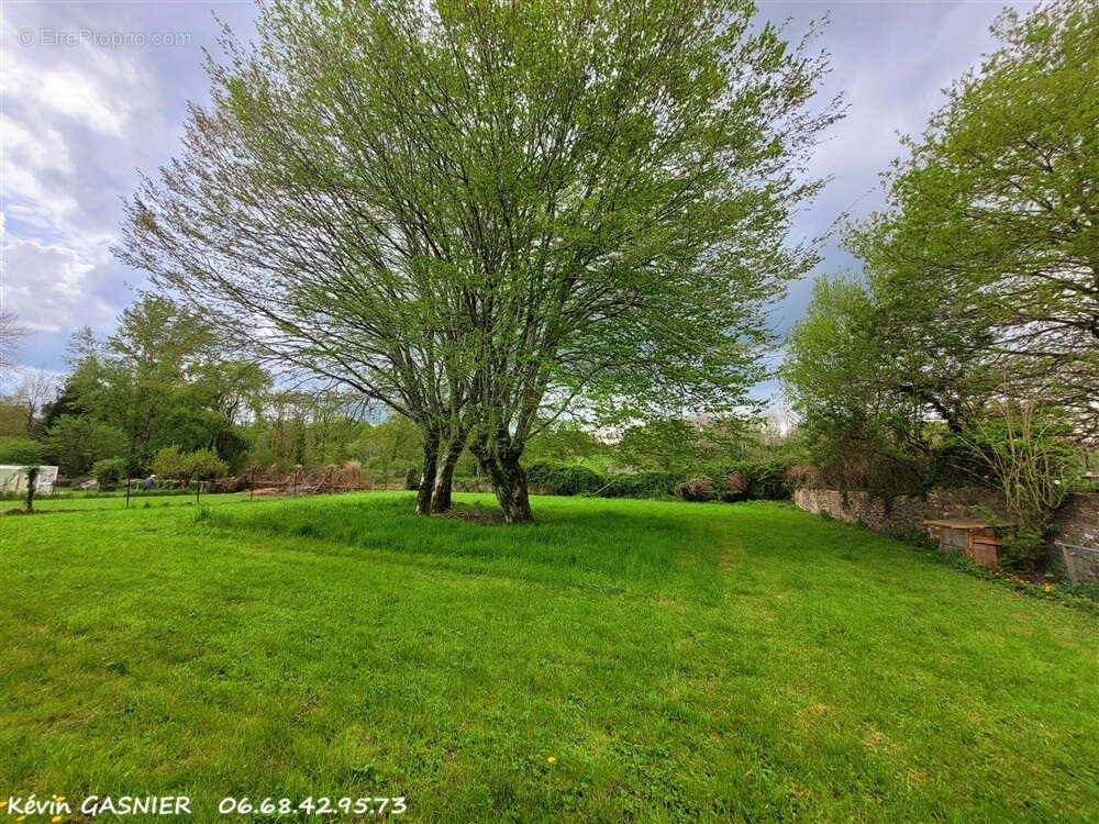Maison à LES SALLES-LAVAUGUYON