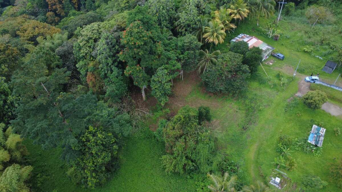 Terrain à FORT-DE-FRANCE