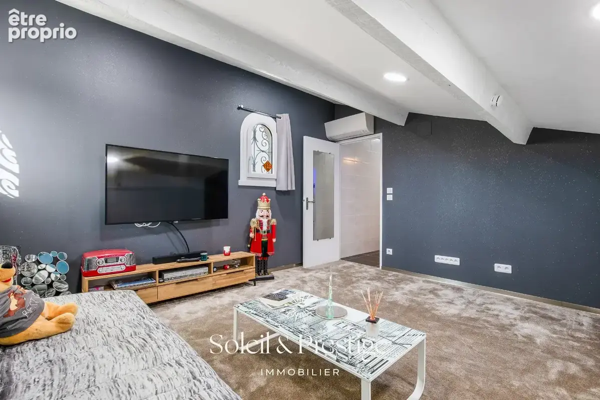 TOURBES - Maison d'architecte avec dépendance, piscine, double garage sur terrain arboré - photo 24