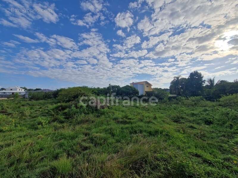 Terrain à ANSE-BERTRAND